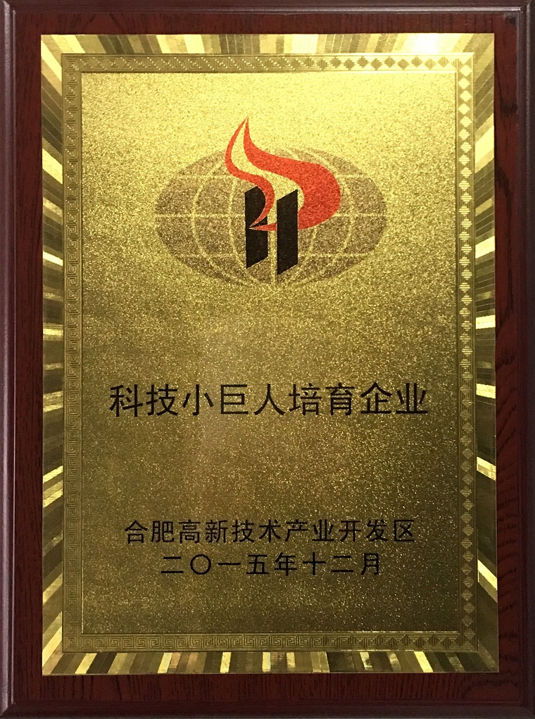 合肥市高新區科技小巨人