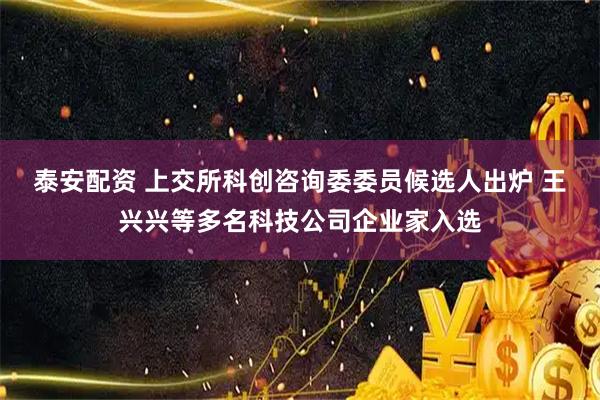 泰安配资 上交所科创咨询委委员候选人出炉 王兴兴等多名科技公司企业家入选